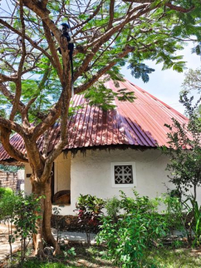 Bushbaby Cottage Diani Beach - with Starlink Highspeed Internet !!!!